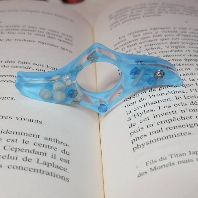 Bague de lecture